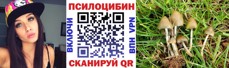 Галлюциногенные грибы прущие грибы  кракен как зайти  Велиж  хочу наркоту 